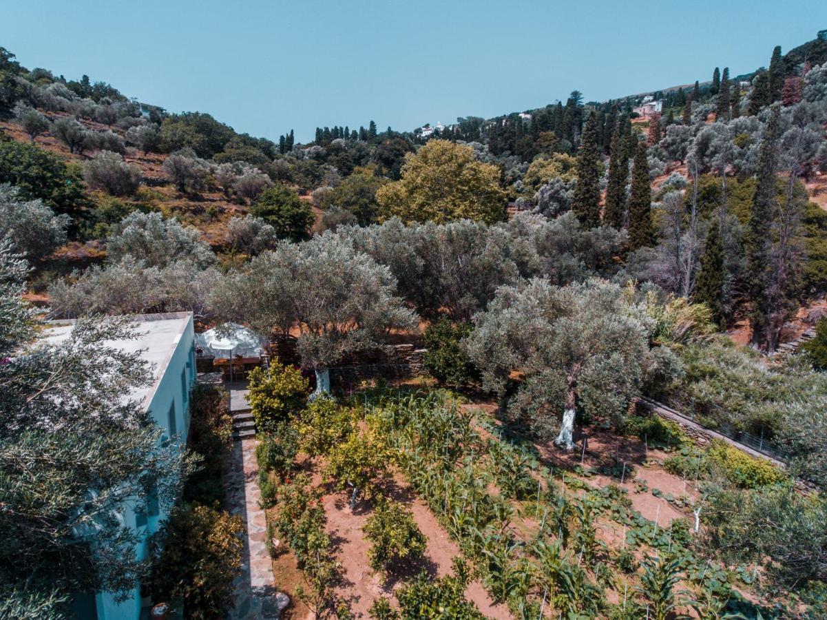 Holiday home Small Paradise Andros Town